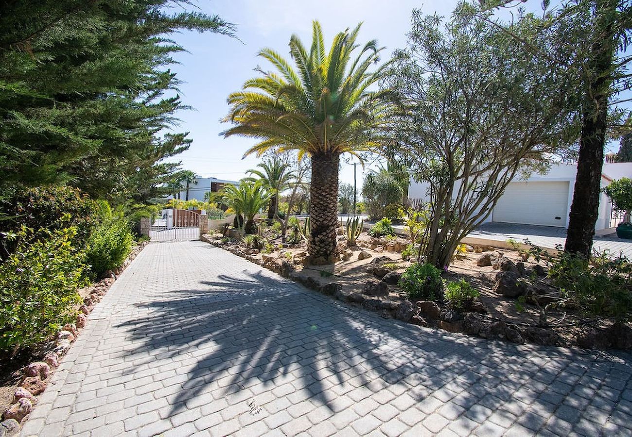 Villa in Carvoeiro - Vivenda Pomba Beautifully renovated with heated pool! 