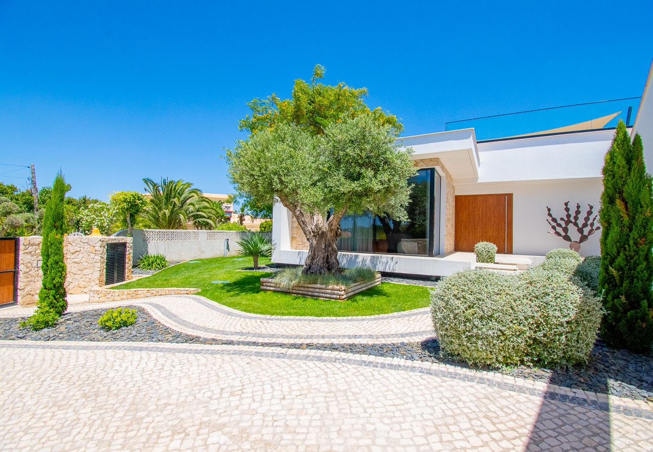 Villa in Carvoeiro - Villa Cactus, modern villa with two private swimming pools walking distance to the beach 