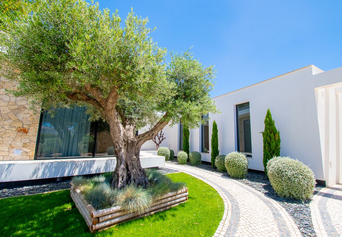 Villa in Carvoeiro - Villa Cactus, modern villa with two private swimming pools walking distance to the beach 